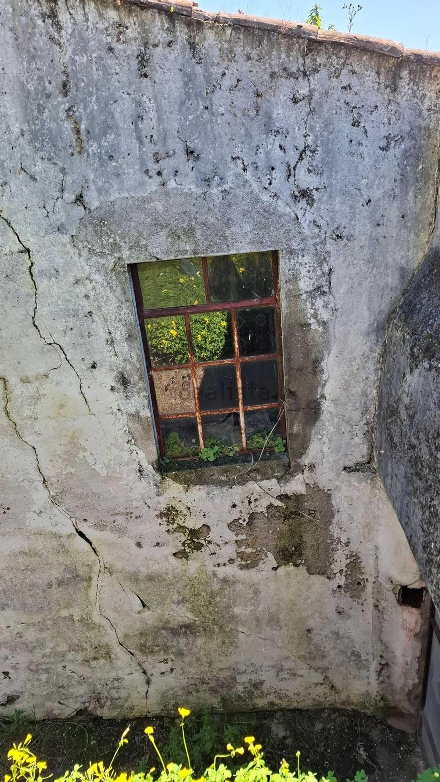 小镇楼房出售在Rua dos Arcos, 1 - 照片