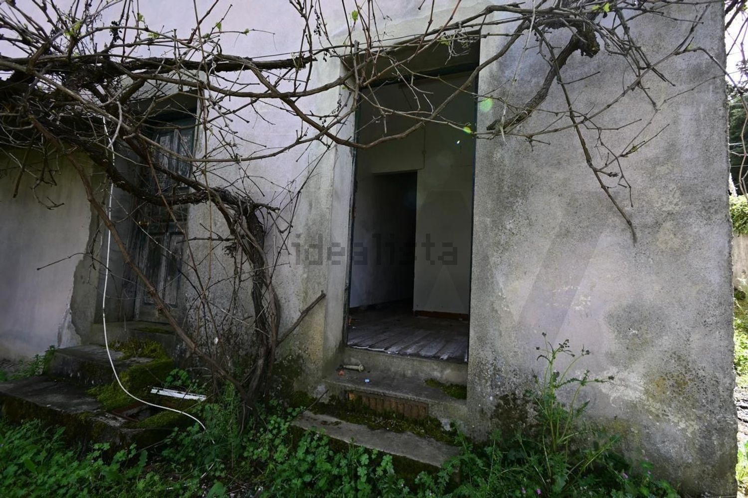 小楼房或独栋别墅出售在Sé - Santa Maria - Meixedo - 外立面