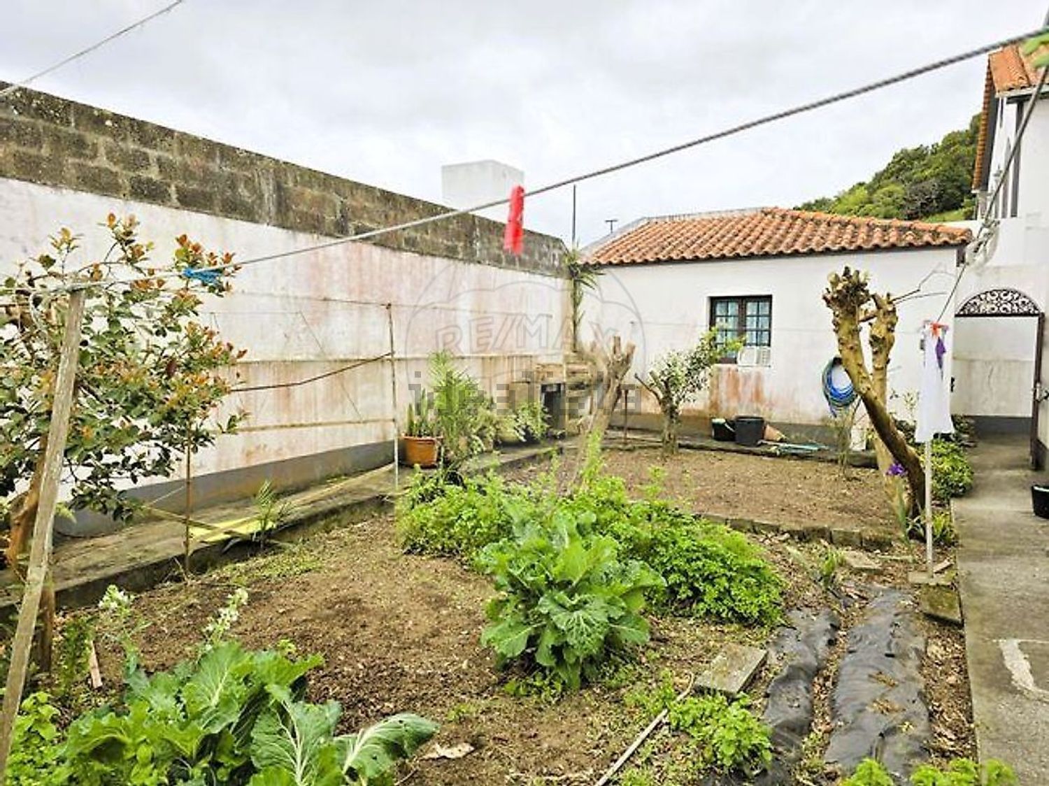 小楼房或独栋别墅出售Calço da Furna - 花园