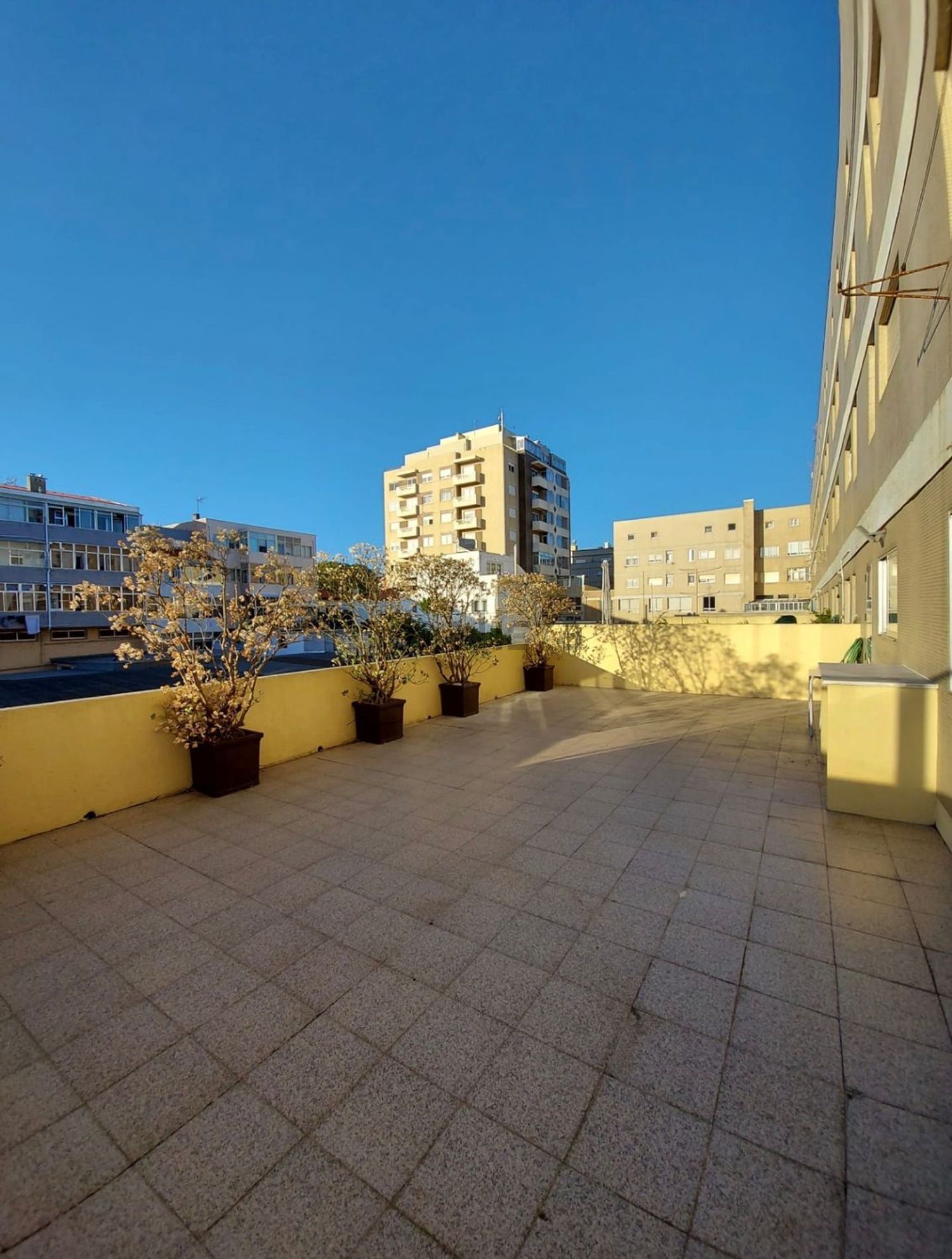 出租公寓 t3在Praça Luís de Camões, 91 - 阳台