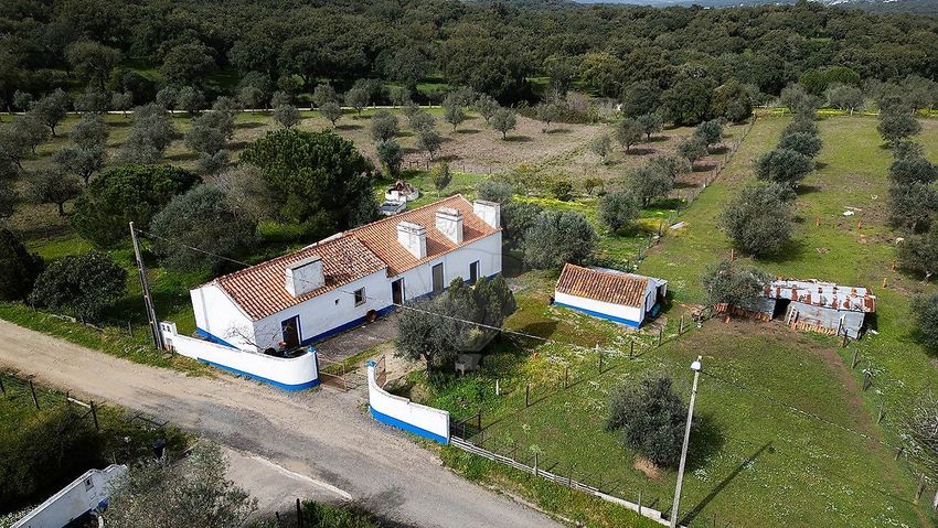 庄园出售在Nossa Senhora da Vila