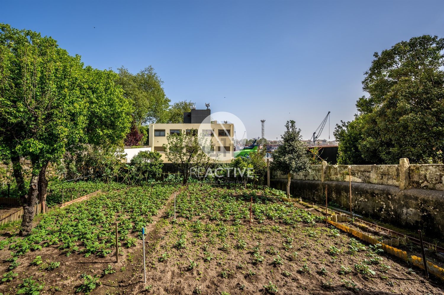 小楼房或独栋别墅出售在Zona Histórica de Matosinhos - 花园
