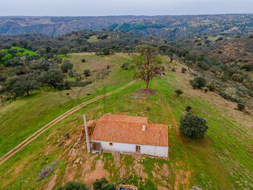 庄园出售在Estrada Sem Nome