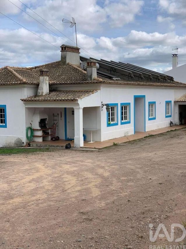 庄园出售在Montargil