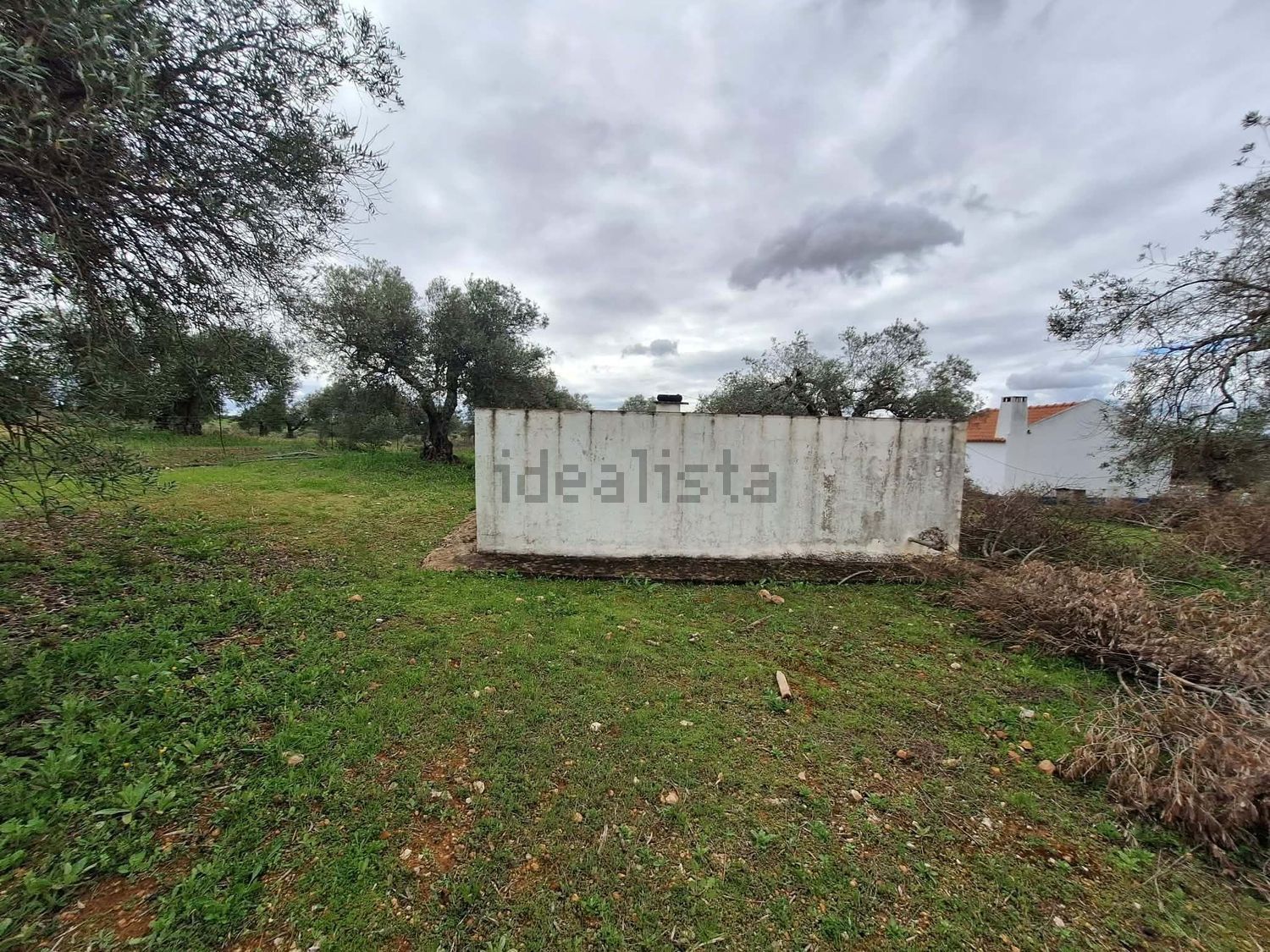 庄园出售在Vila Verde de Ficalho - 花园