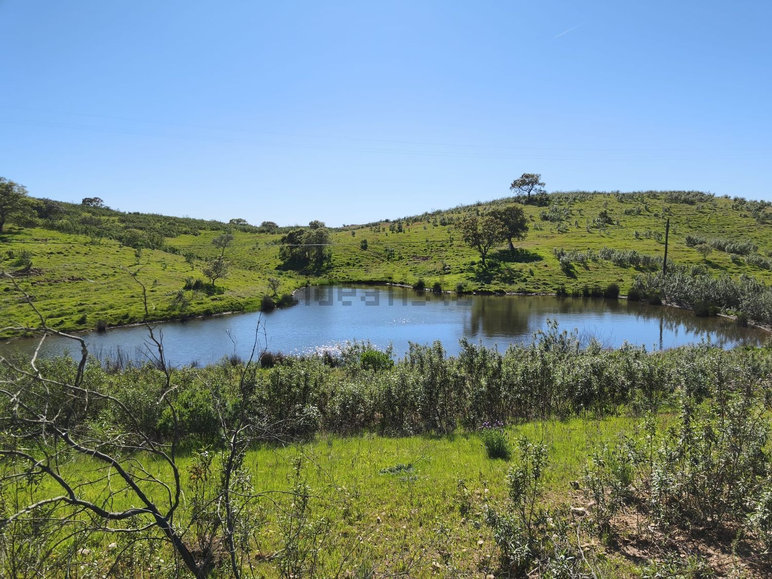 阿连特茹山出售Ourique, Portela de Lobo, Courela Casa Branca s/n - 视线