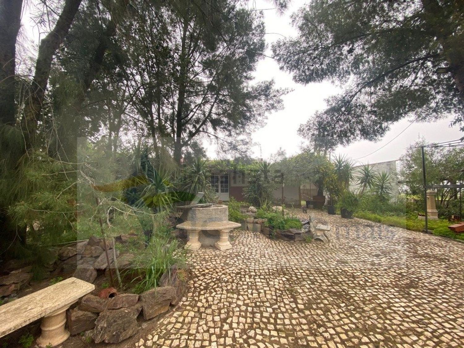 庄园出售Bc. do Carril - 花园