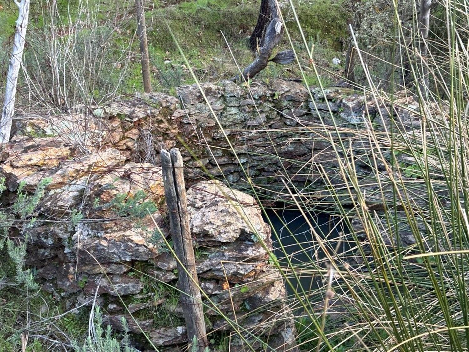 庄园出售在Estrada Sem Nome - 照片