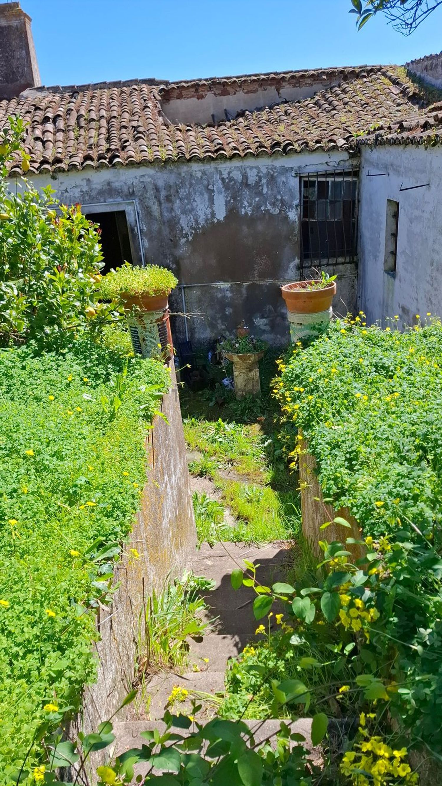 小镇楼房出售在Rua dos Arcos, 1 - 花园