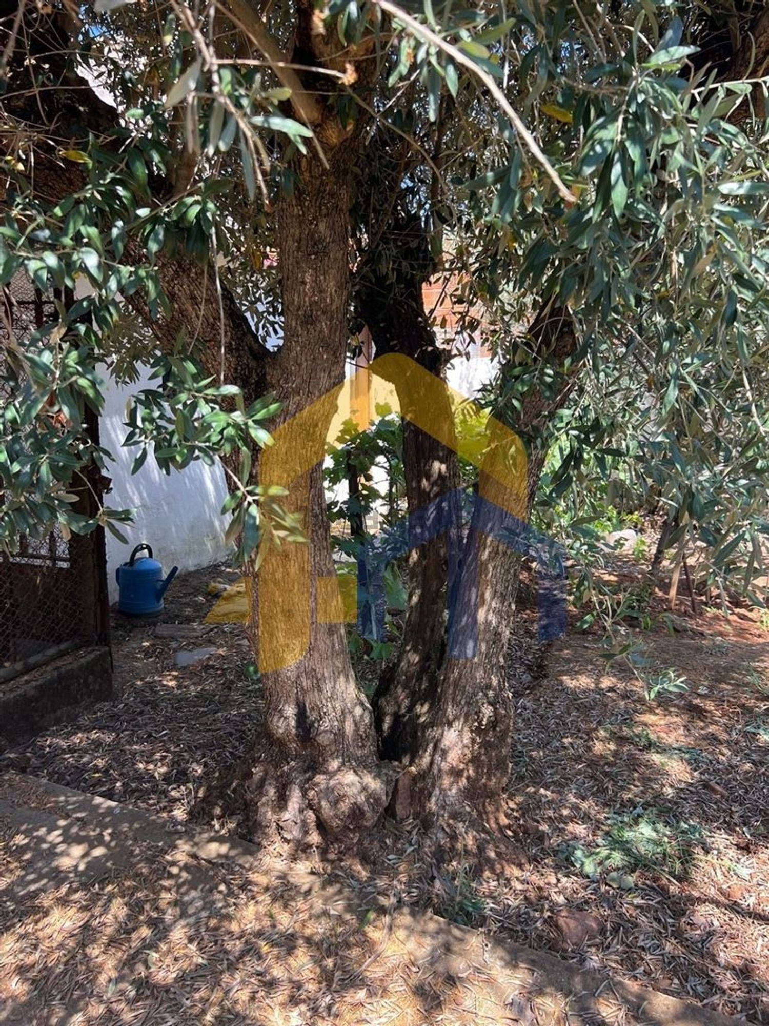 小楼房或独栋别墅出售在Santa Maria e Santo André - 花园