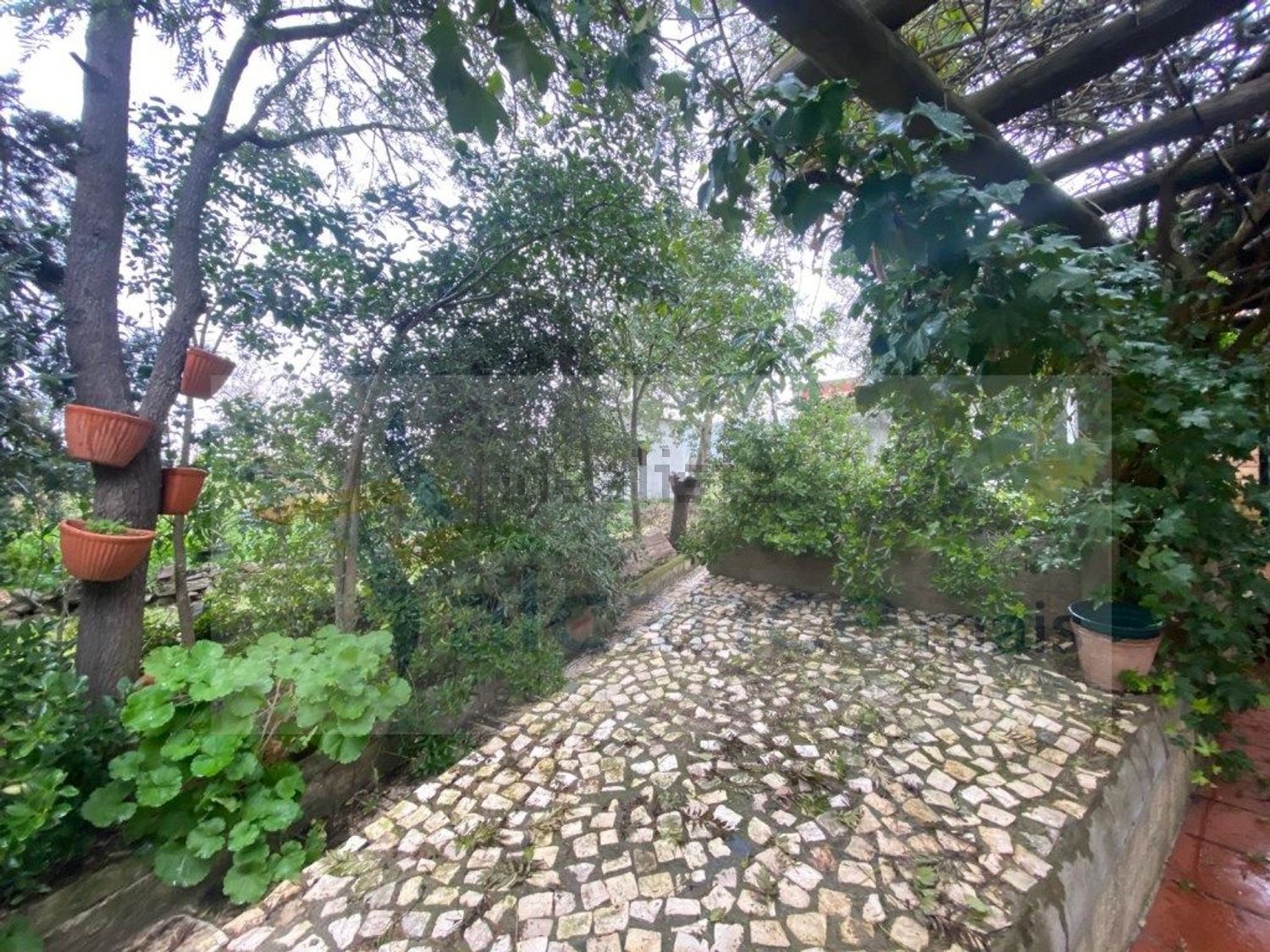 庄园出售Bc. do Carril - 花园