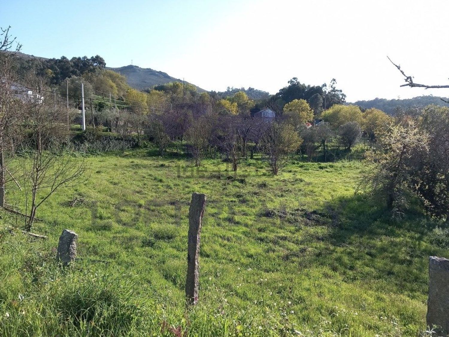 小楼房或独栋别墅出售在Rua da Cachadinha - 花园
