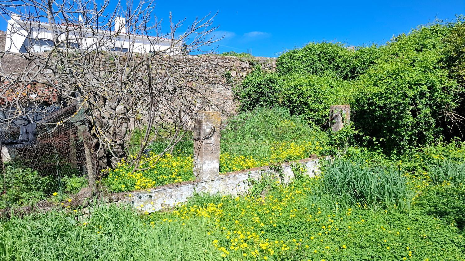 小镇楼房出售在Rua dos Arcos, 1 - 花园