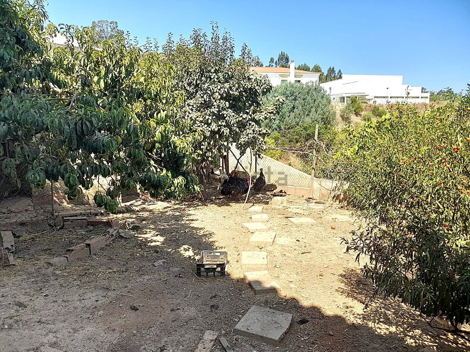 小楼房或独栋别墅出售在Avenida António Manuel Ribeiro s/n - 花园