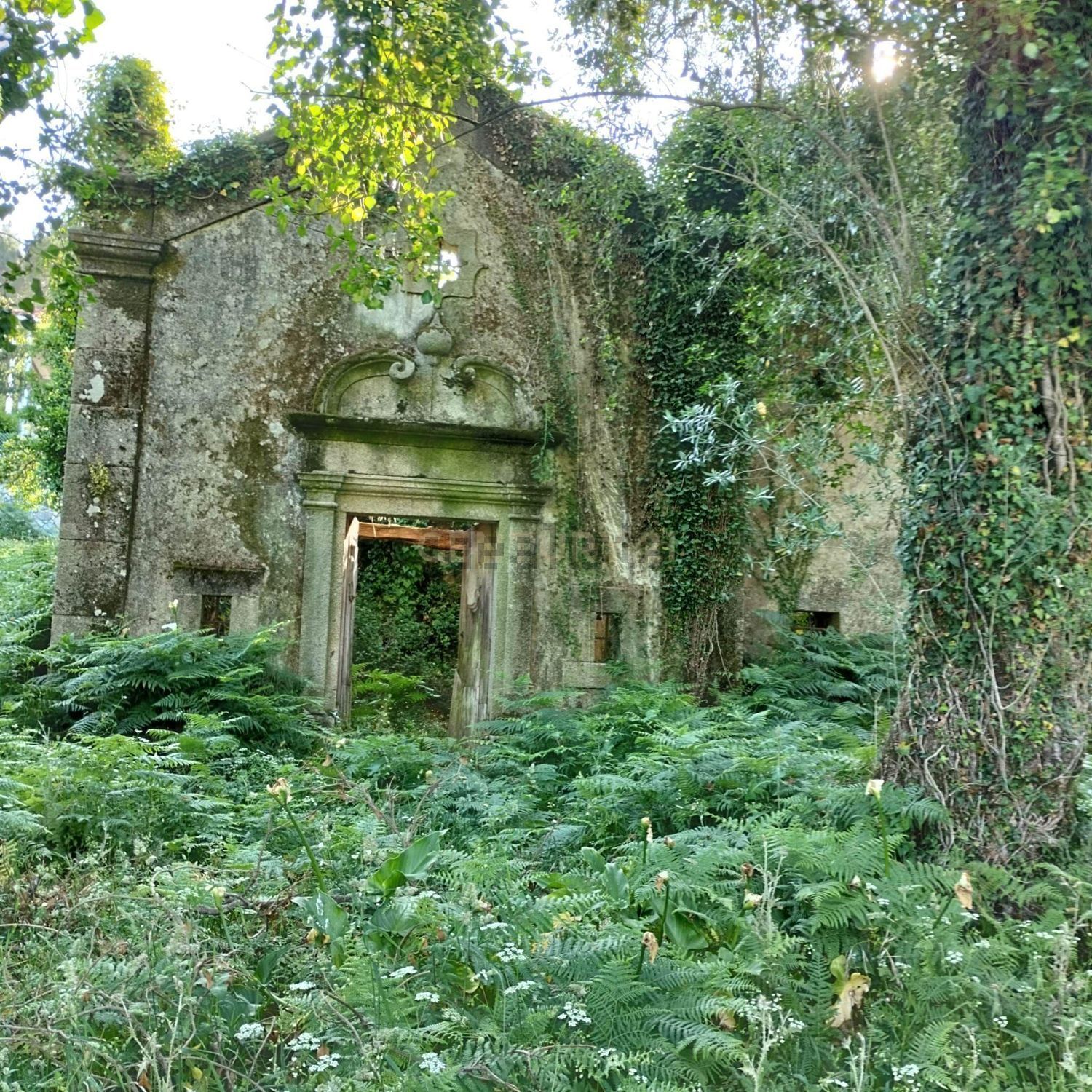 农庄出售在Rua do Souto - 花园