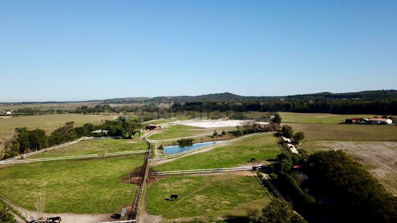 庄园出售Brejao, Portugal - 视线