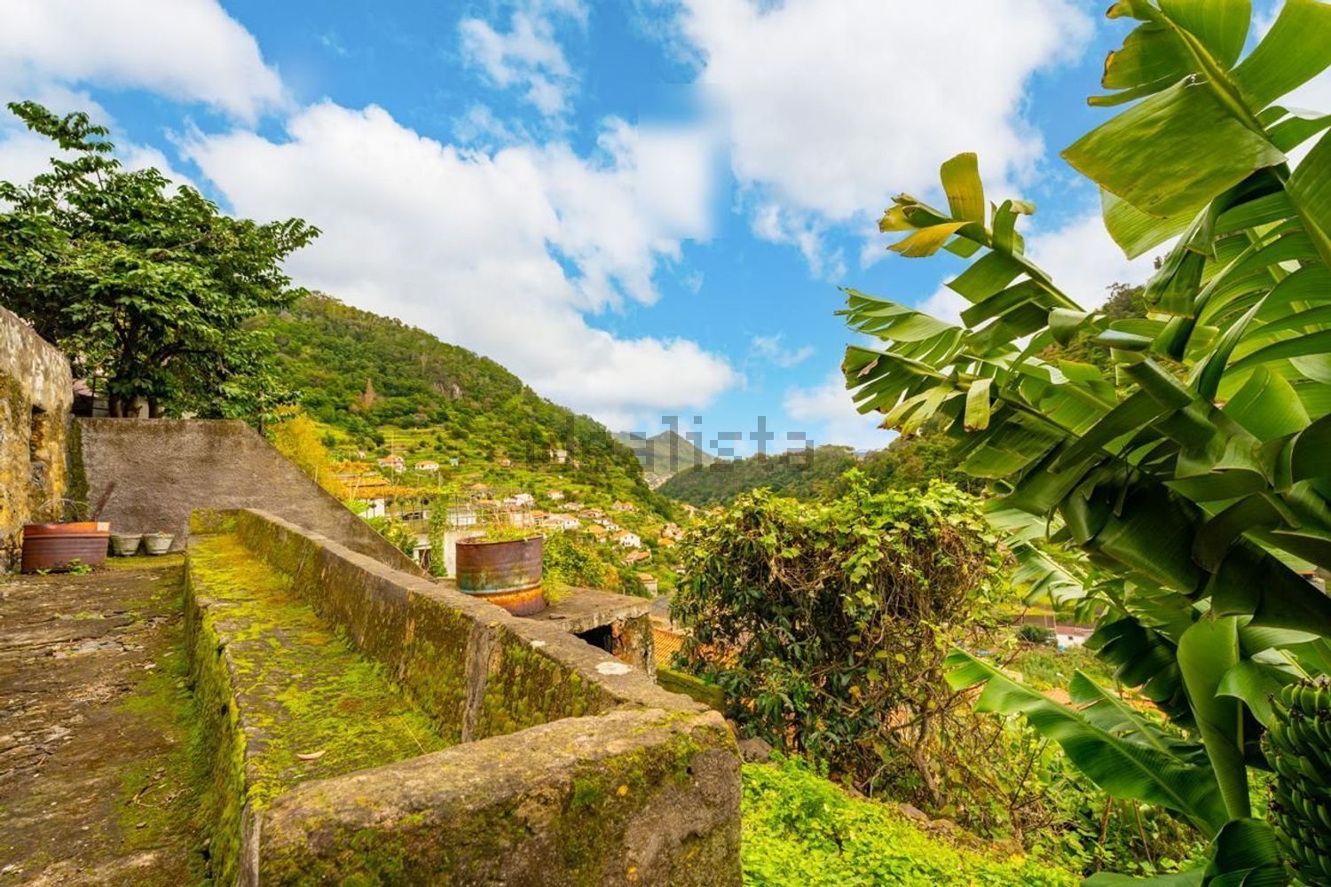 小楼房或独栋别墅出售在Estrada da Levada Da Rocha s/n - 花园