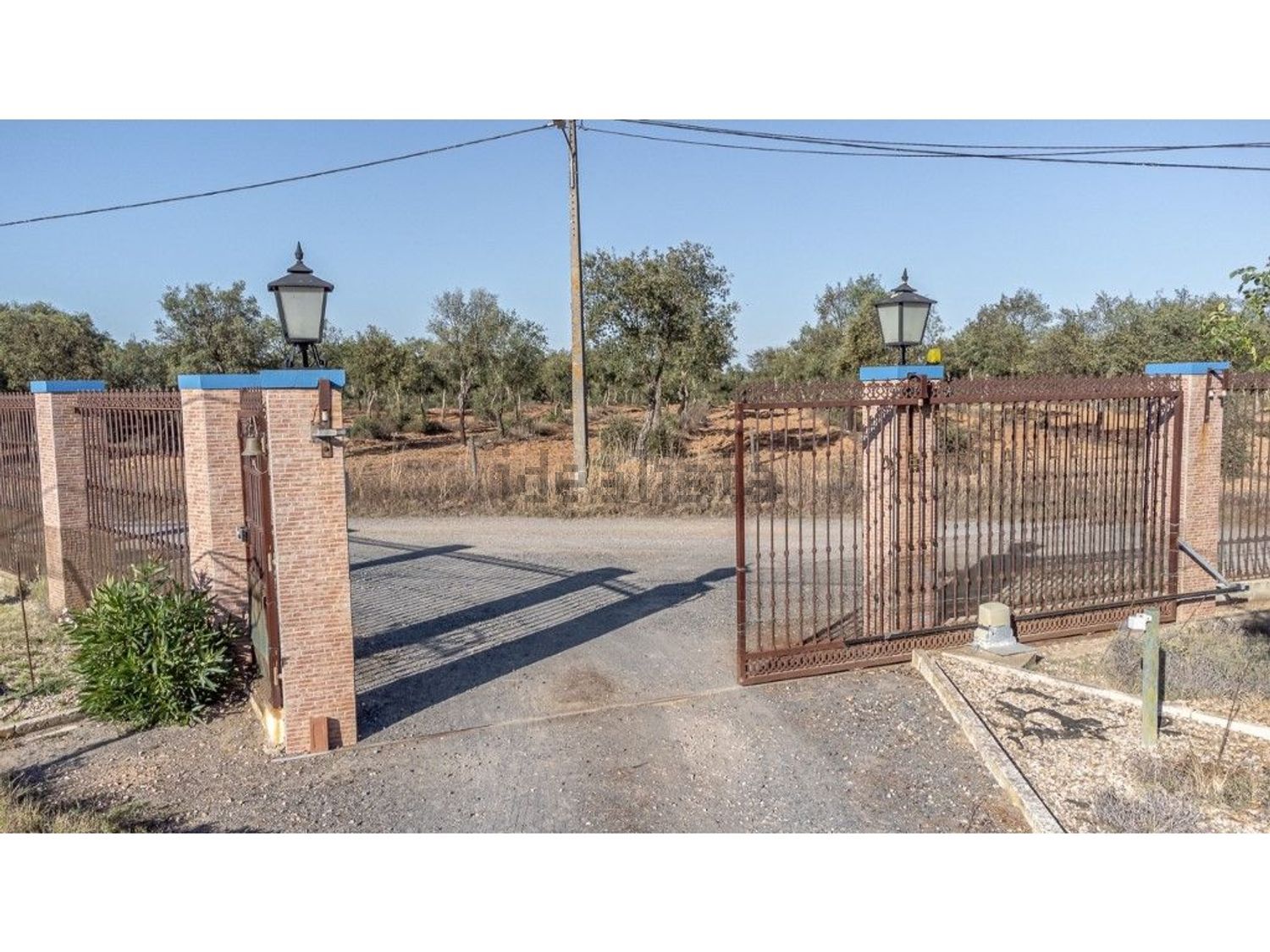 庄园出售在Ferreira do Alentejo - 照片