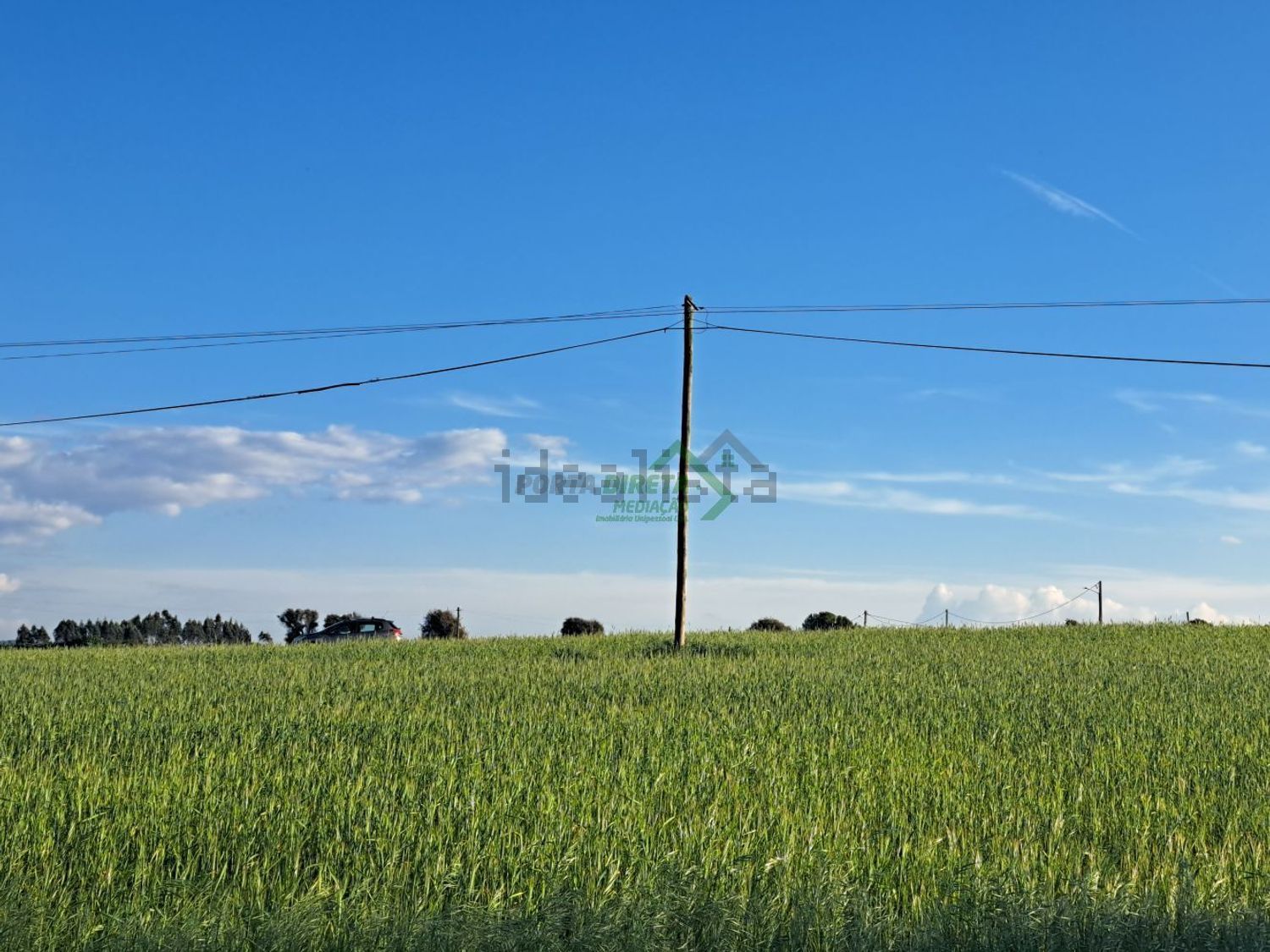 庄园出售M502 - 照片