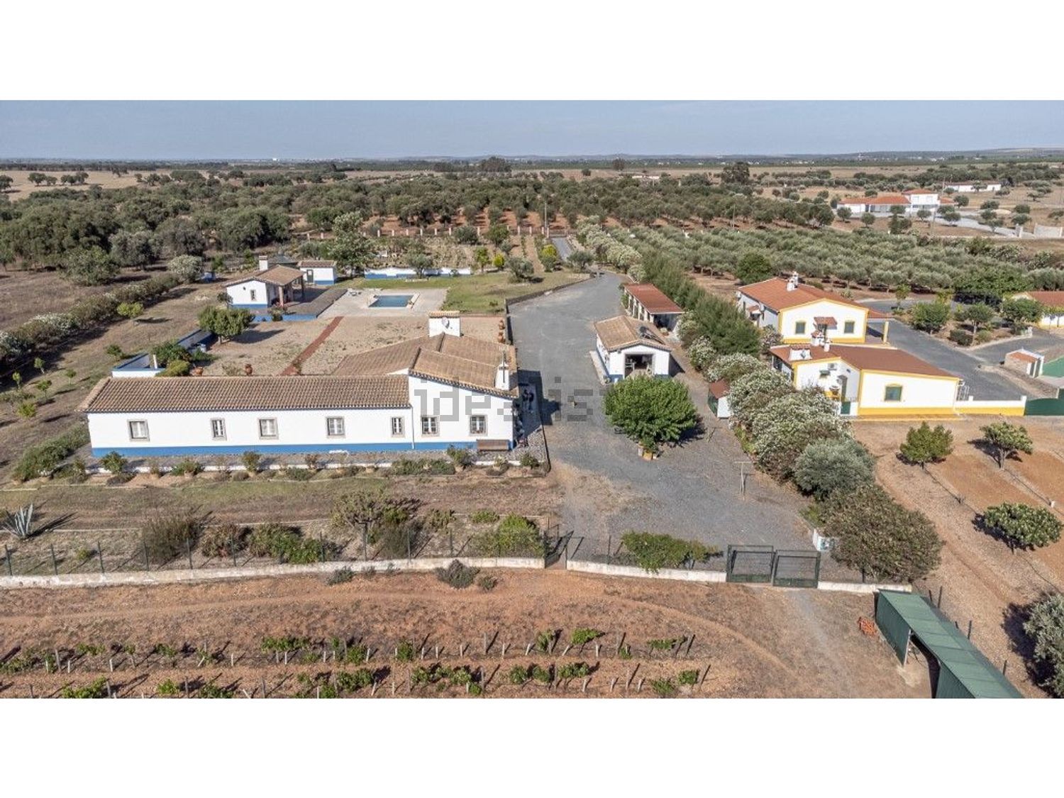 庄园出售在Ferreira do Alentejo - 照片