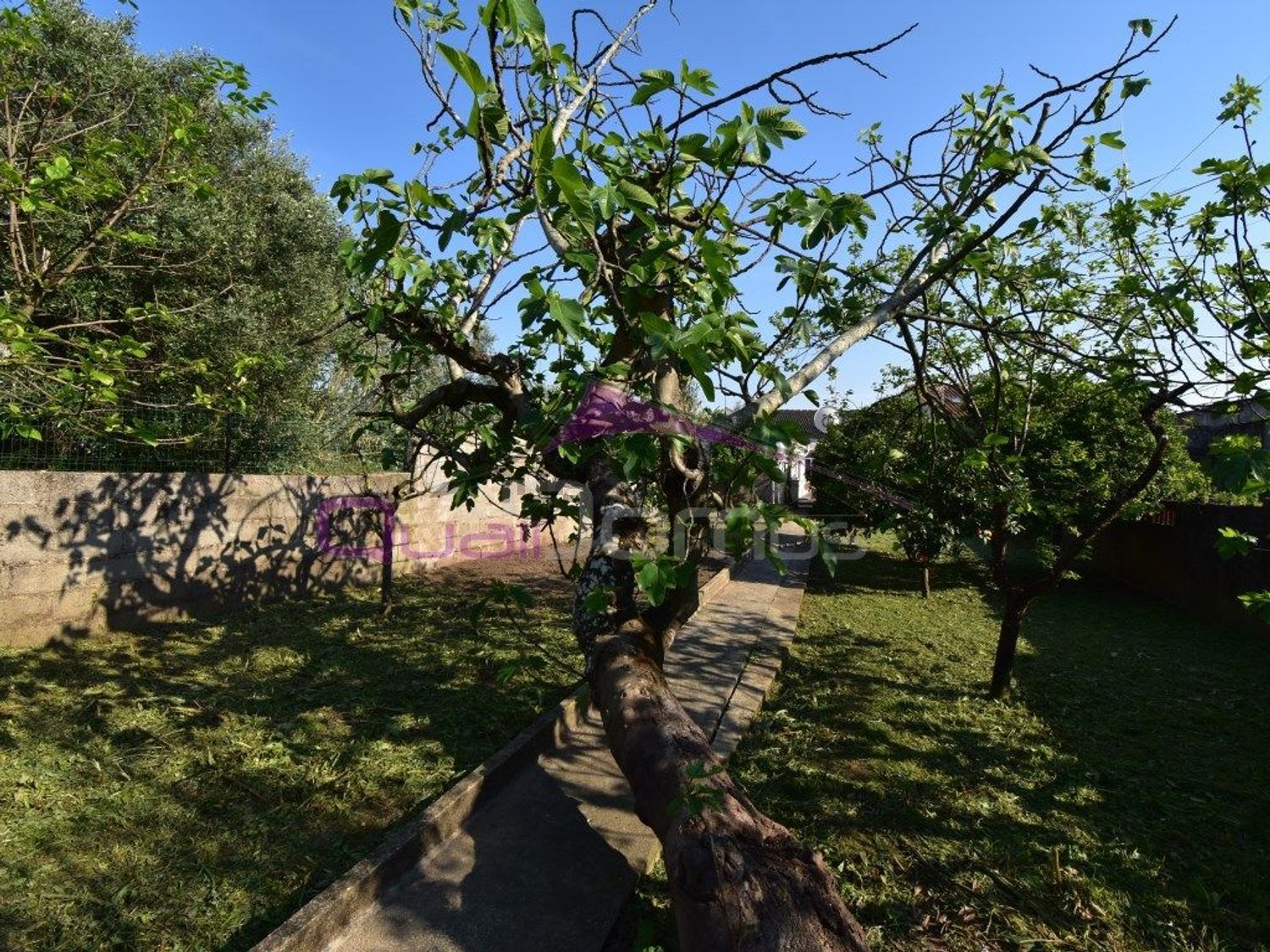 小楼房或独栋别墅出售在Atalaia - 花园