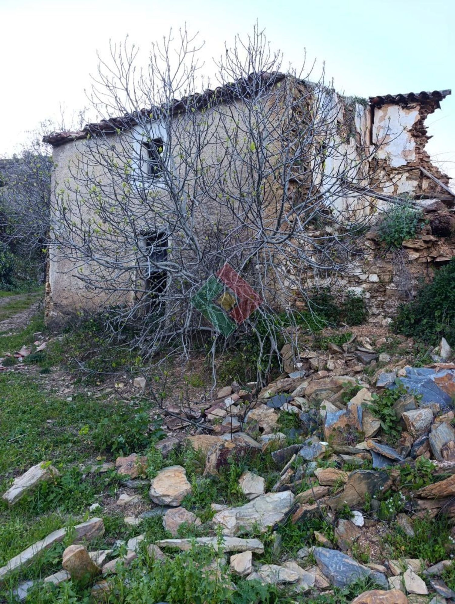 庄园出售在Reguengo e São Julião - 花园