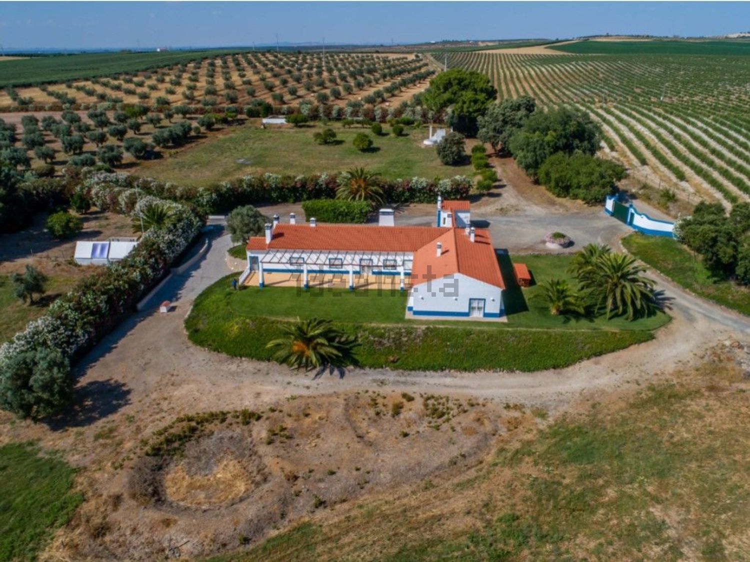 庄园出售在Ferreira do Alentejo - 游泳池