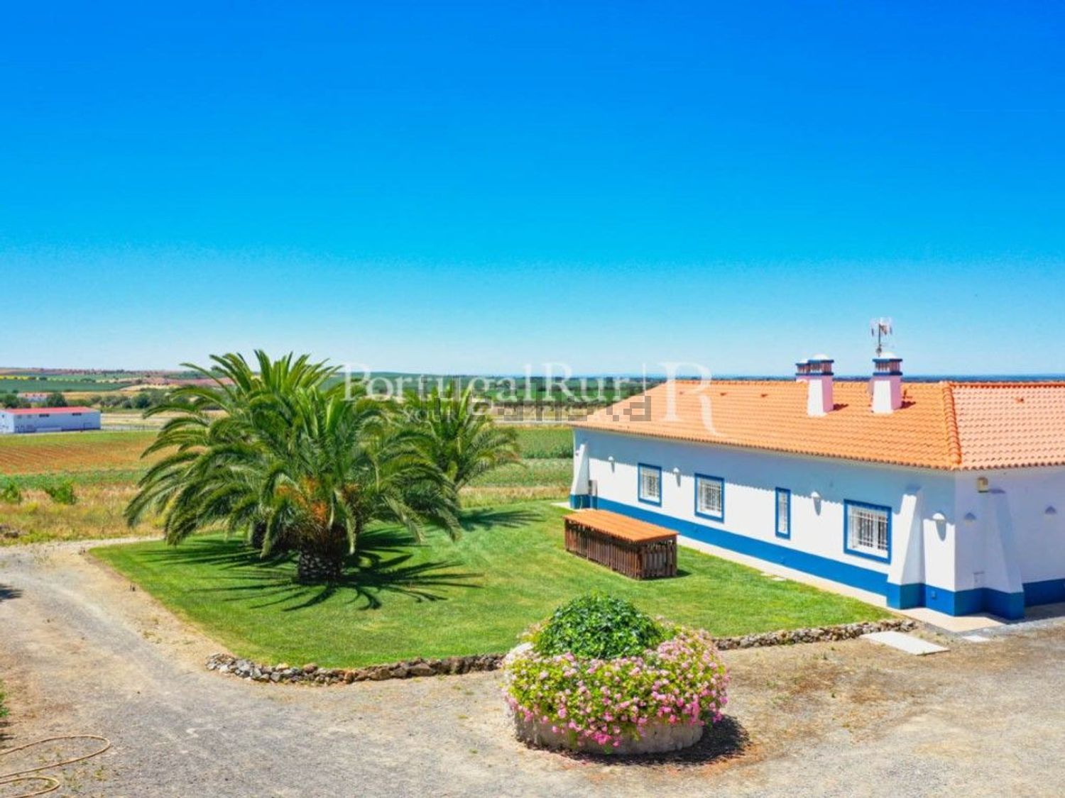 农庄出售在Ferreira do Alentejo - 照片