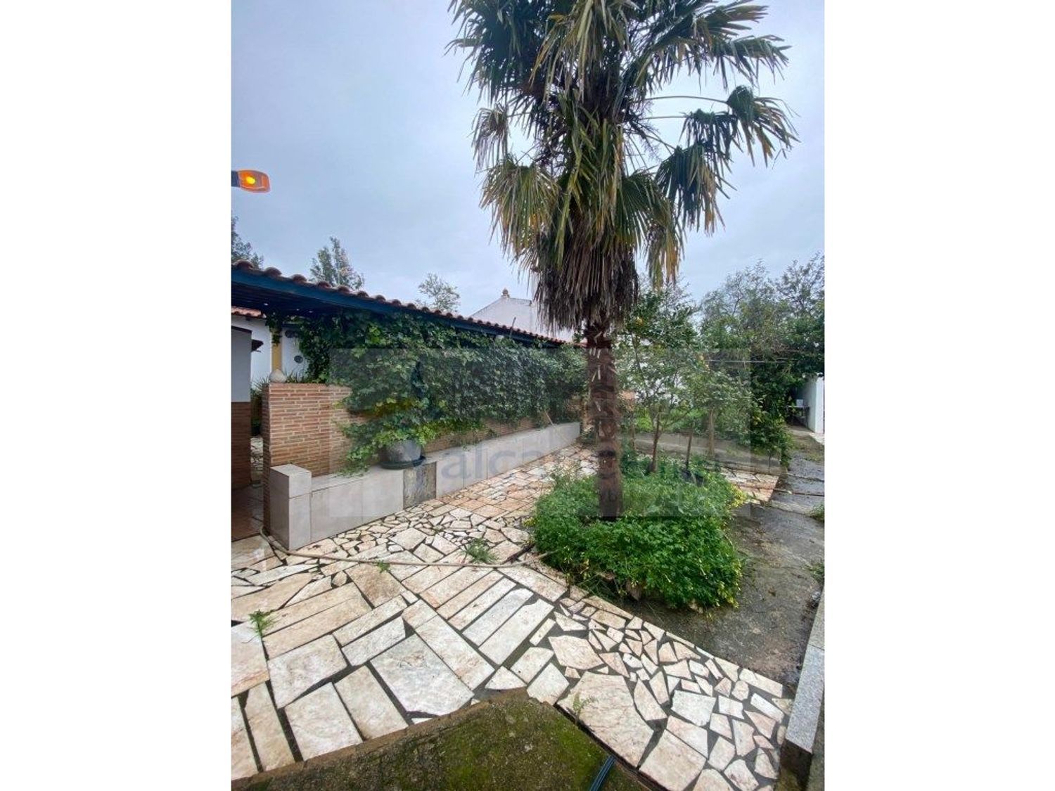 庄园出售Bc. do Carril - 花园
