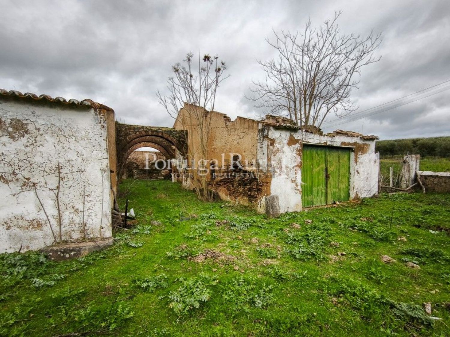 庄园出售在Largo Dr Regala - 花园