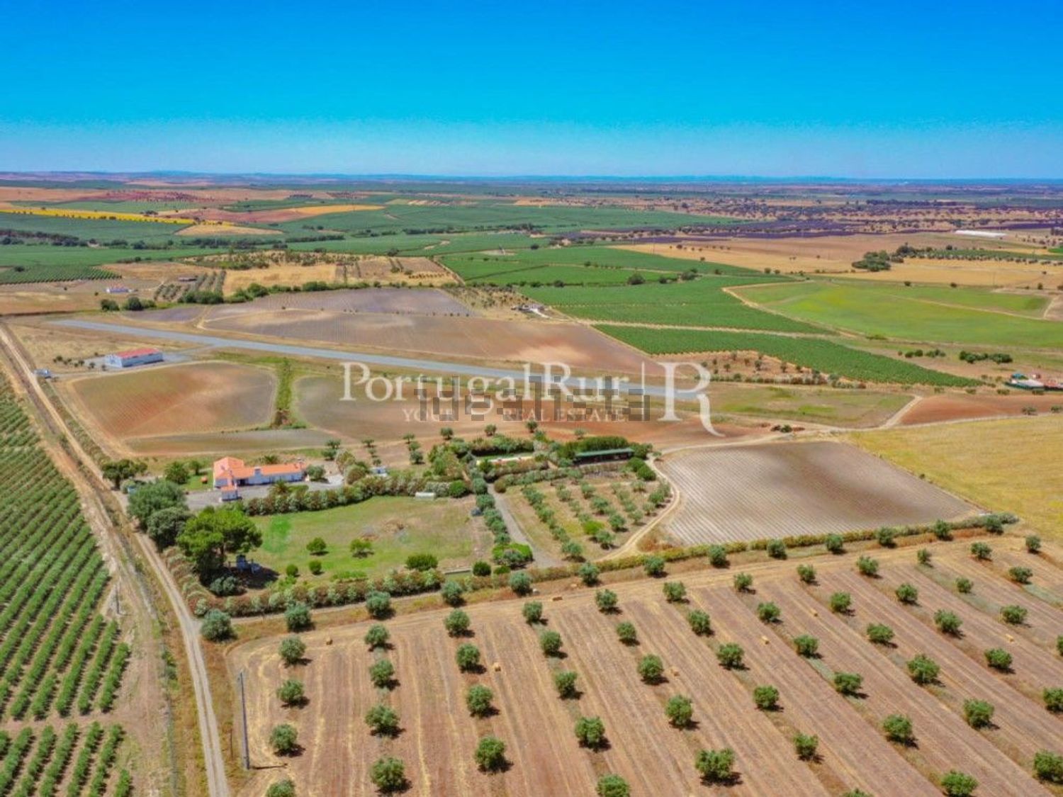 农庄出售在Ferreira do Alentejo - 照片