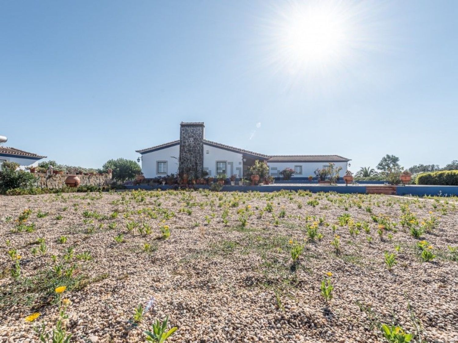 庄园出售在Ferreira do Alentejo - 外立面