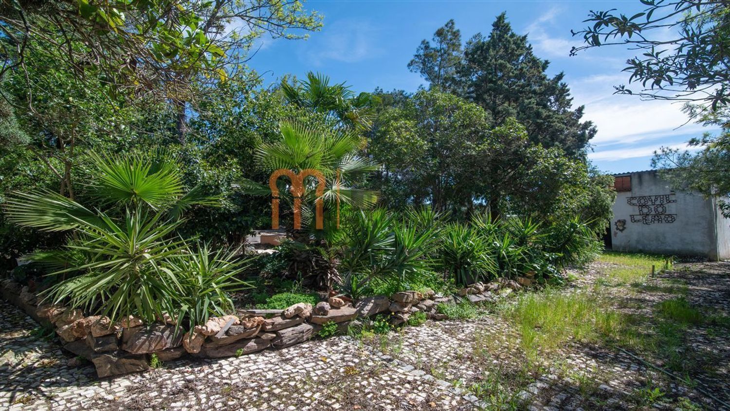 阿连特茹山出售Vila Verde de Ficalho - 花园