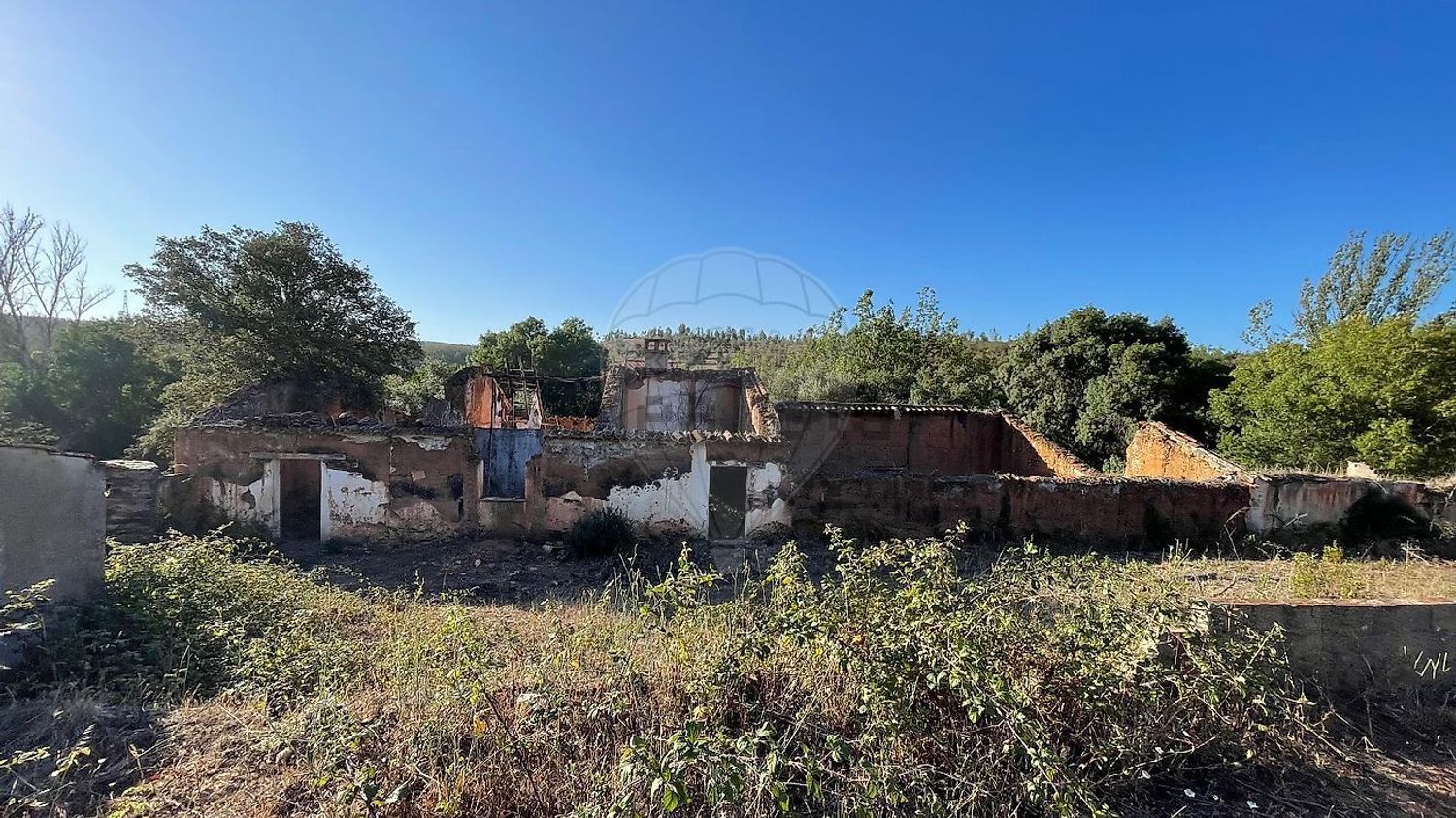 庄园出售在Sabóia - 照片