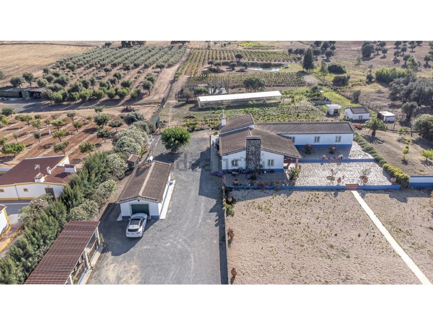 庄园出售在Ferreira do Alentejo - 照片