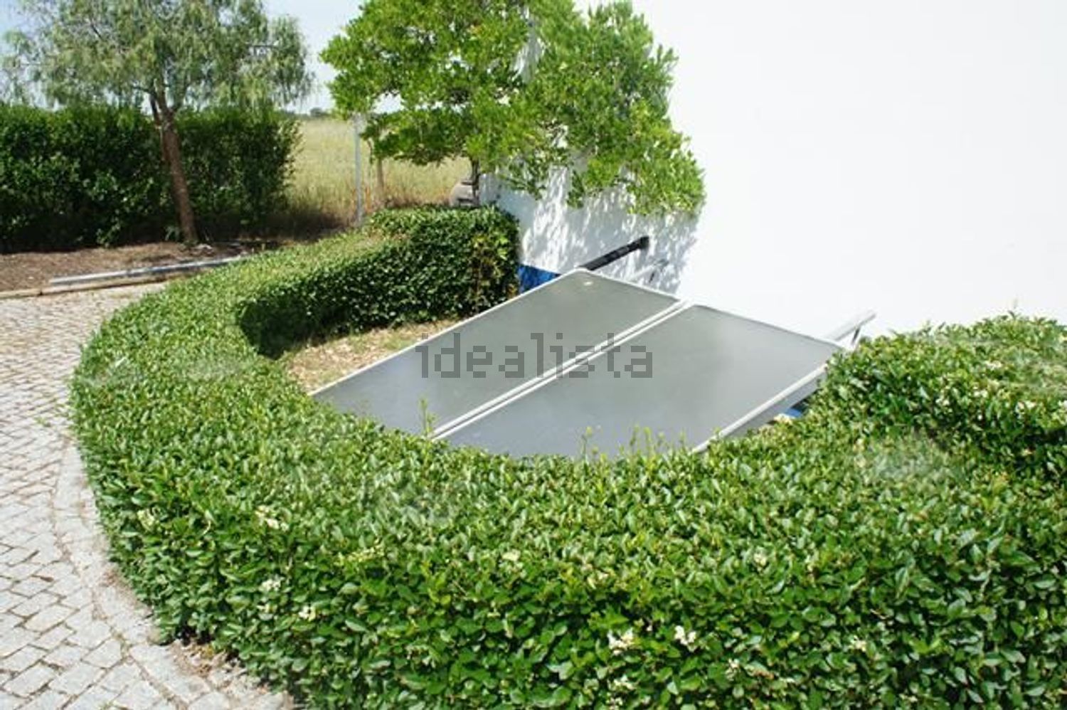 庄园出售Courela da Machoa aos Seixinhos s/n - 照片