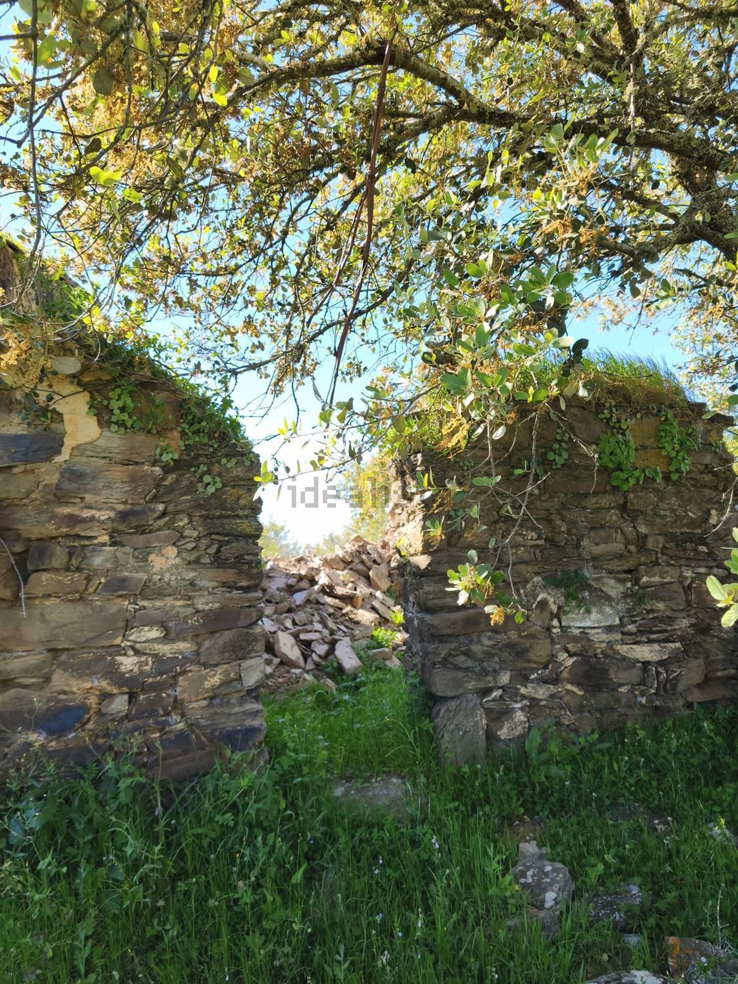 阿连特茹山出售Ourique, Portela de Lobo, Courela Casa Branca s/n - 详情