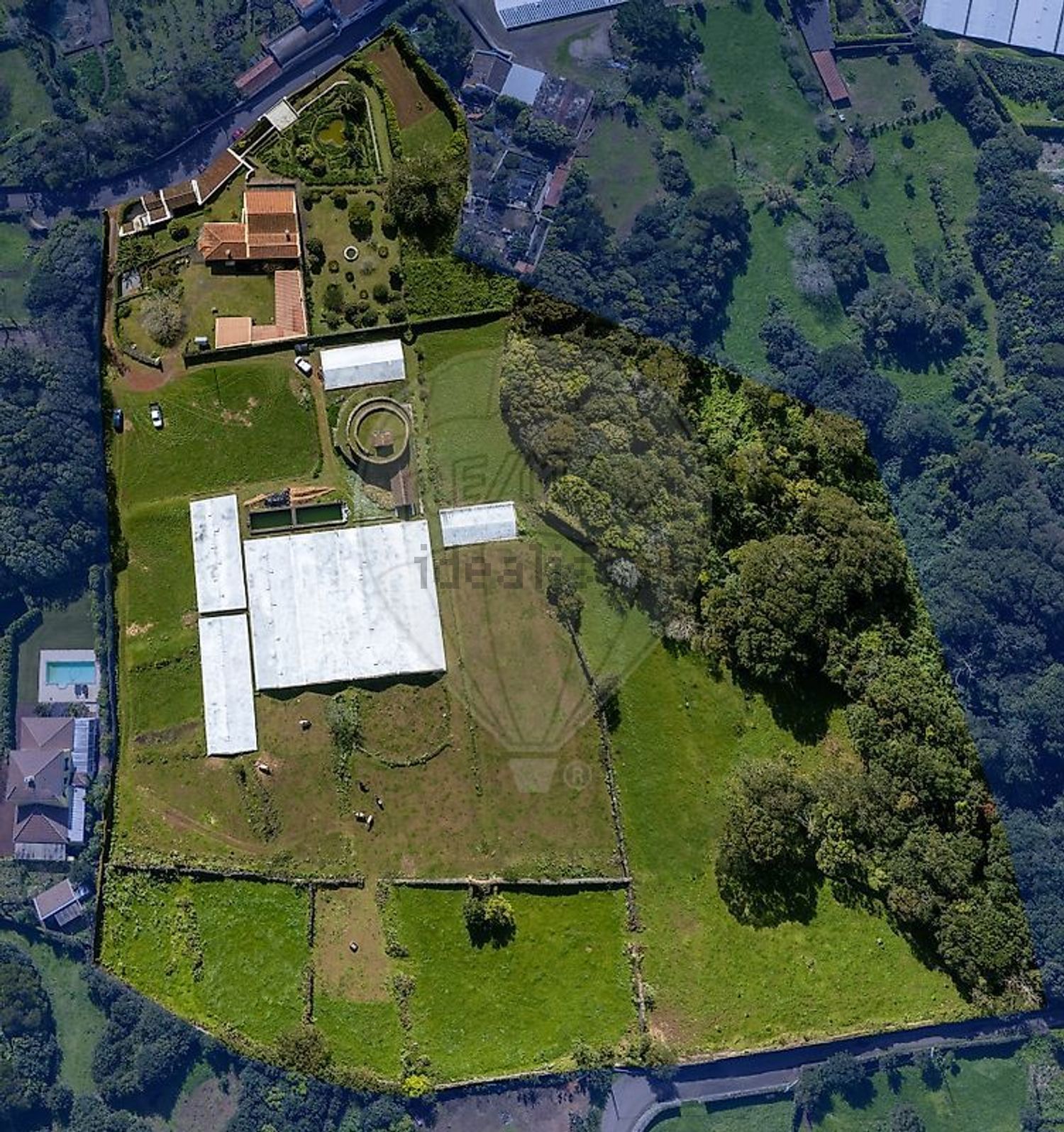 小楼房或独栋别墅出售在Fajã de Baixo - 照片