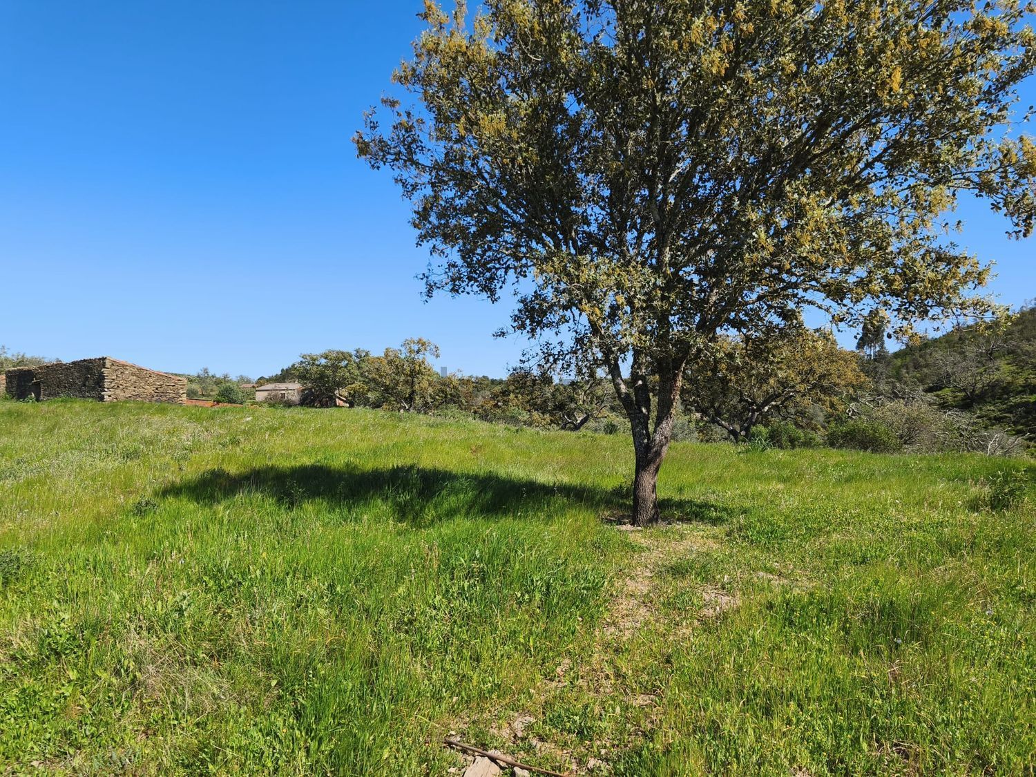阿连特茹山出售Ourique, Portela de Lobo, Courela Casa Branca s/n - 视线