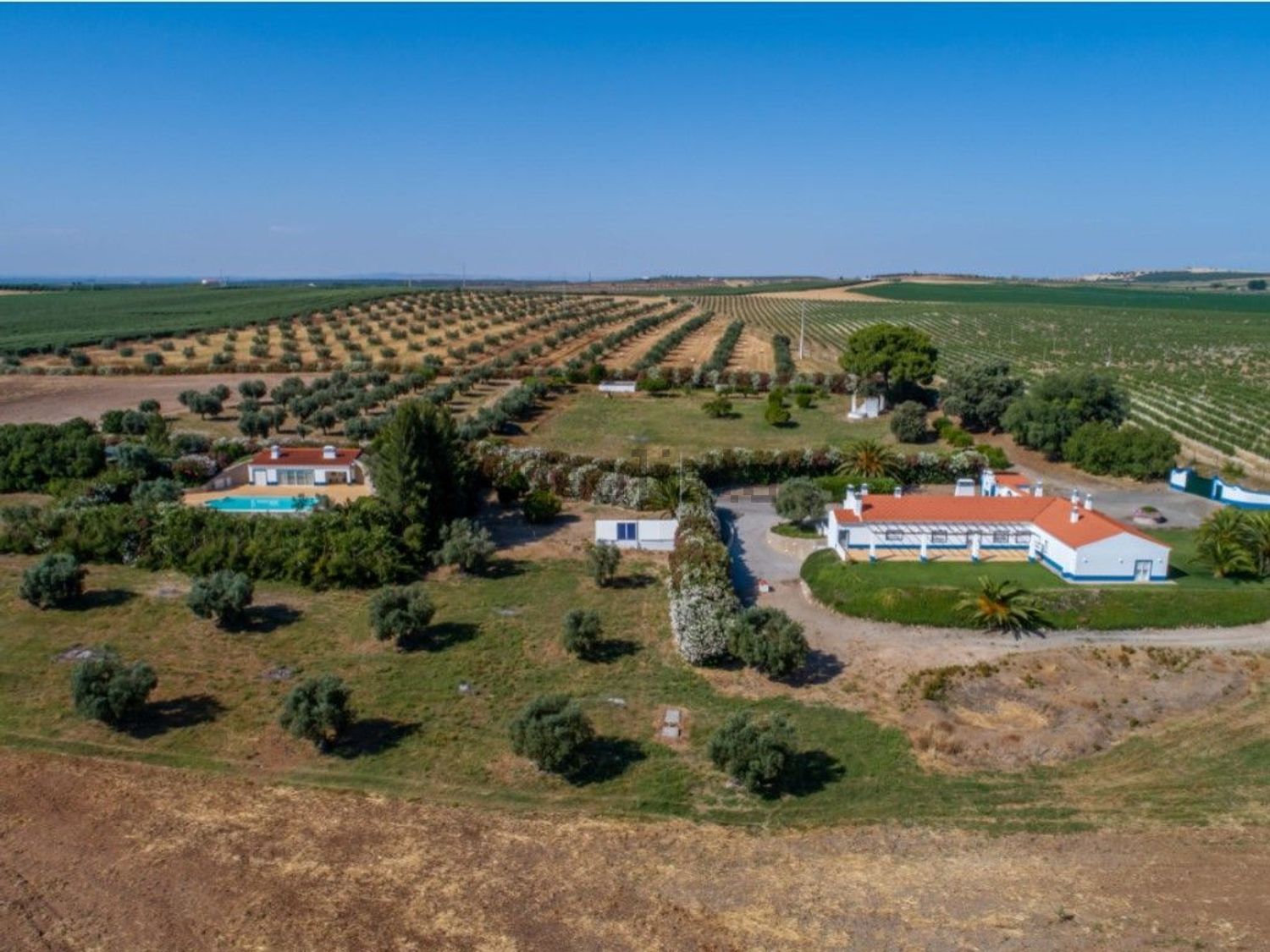 庄园出售在Ferreira do Alentejo - 视线