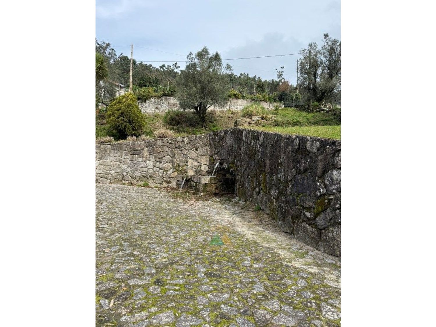 小楼房或独栋别墅出售在Rua da Fonte da Mineira - 花园