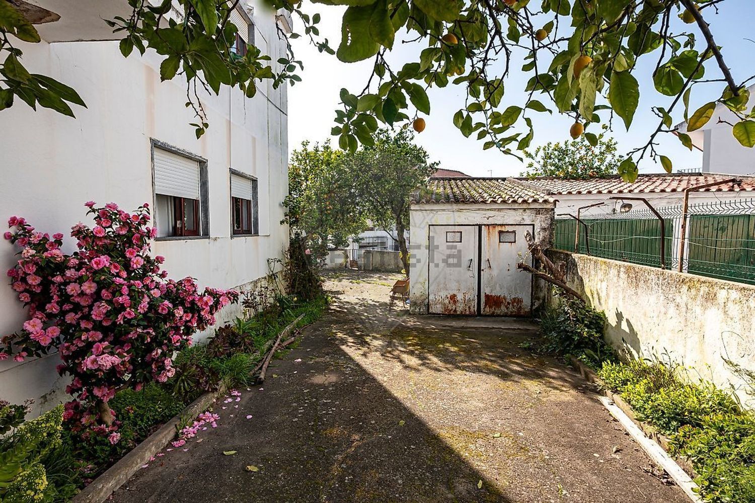 小楼房或独栋别墅出售在Rua Doutor Manuel Carvalho Moniz - 外立面
