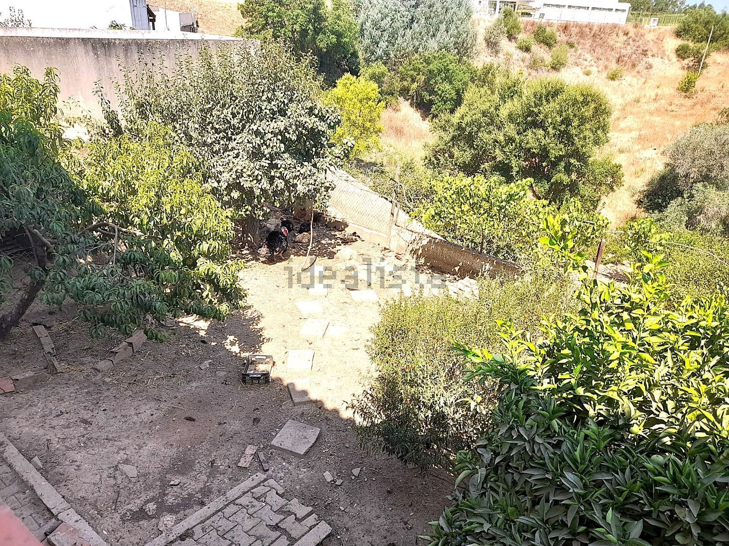 小楼房或独栋别墅出售在Avenida António Manuel Ribeiro s/n - 花园
