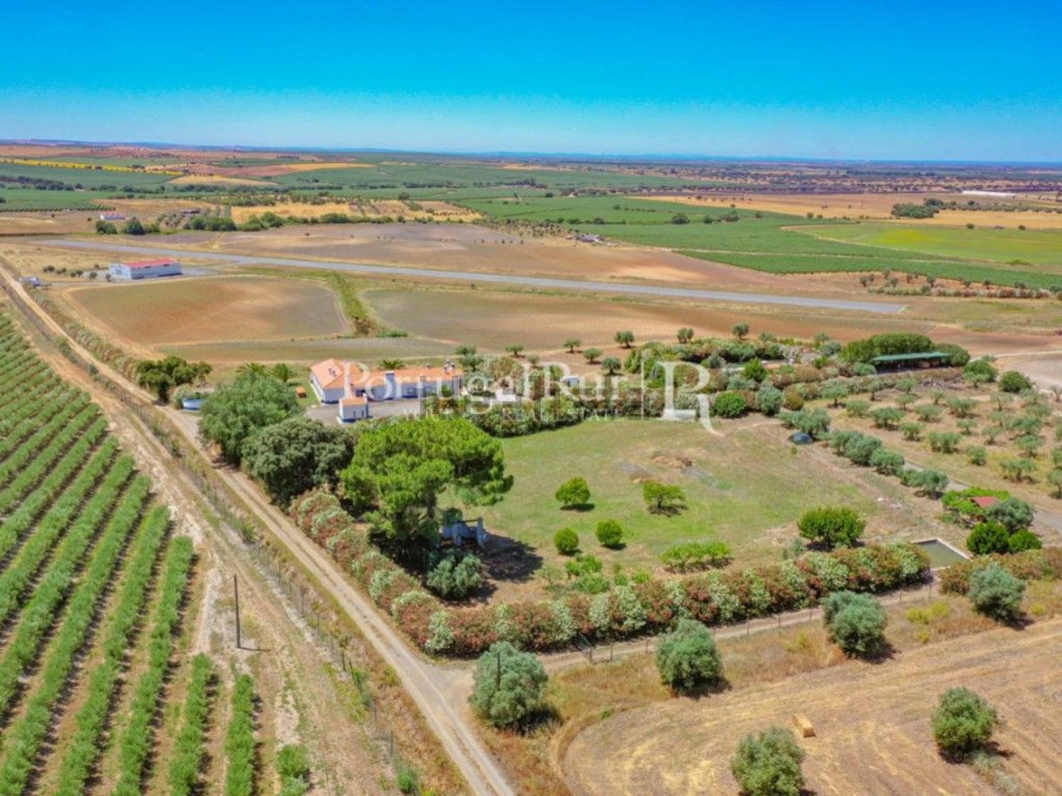 农庄出售在Ferreira do Alentejo - 照片