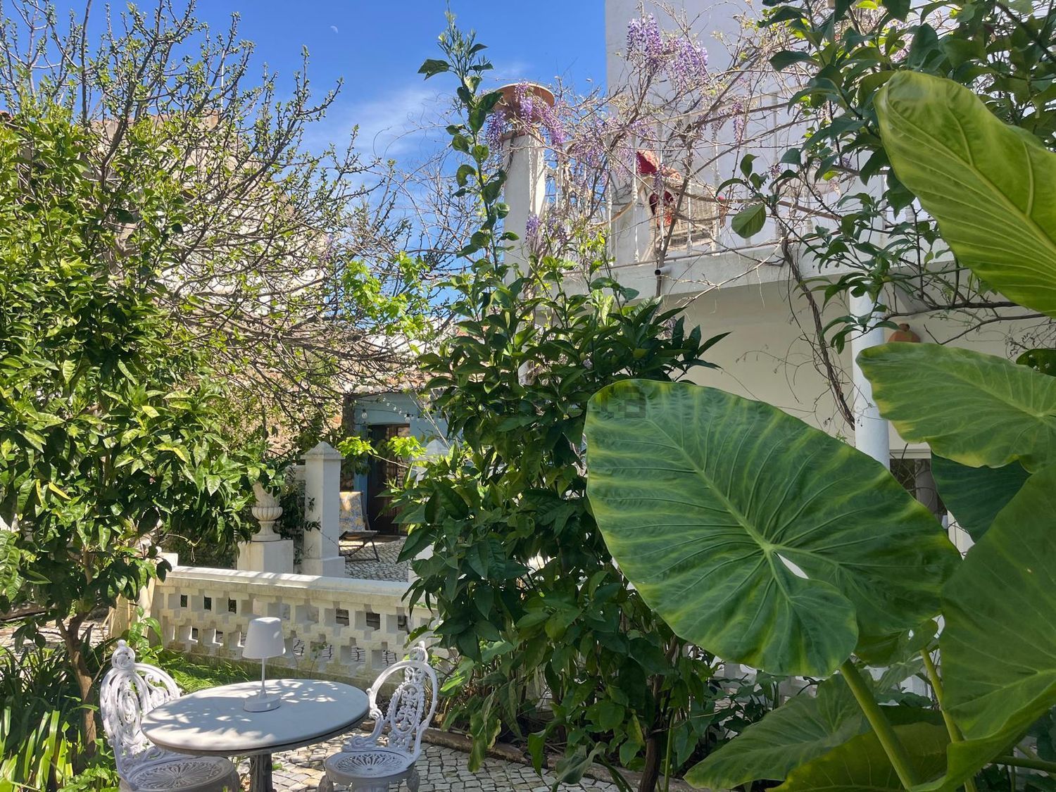 小楼房或独栋别墅出售在Rua Doutor Luís Abranches - 花园