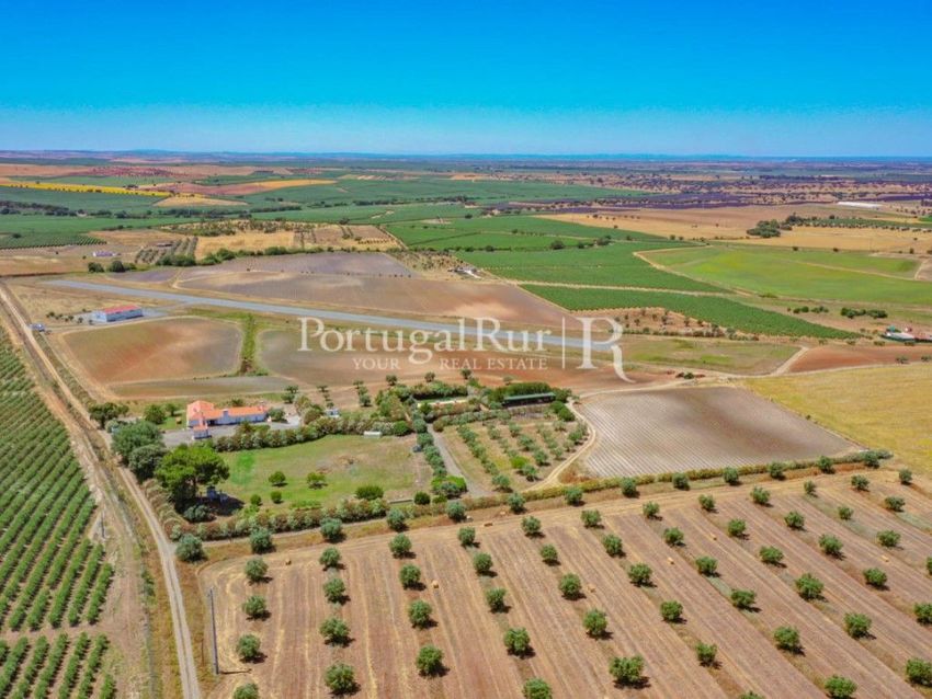 农庄出售在Ferreira do Alentejo
