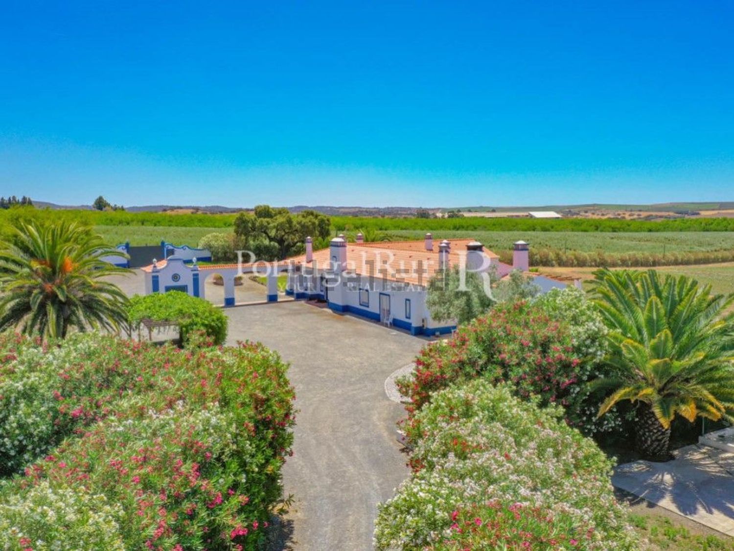 农庄出售在Ferreira do Alentejo - 视线