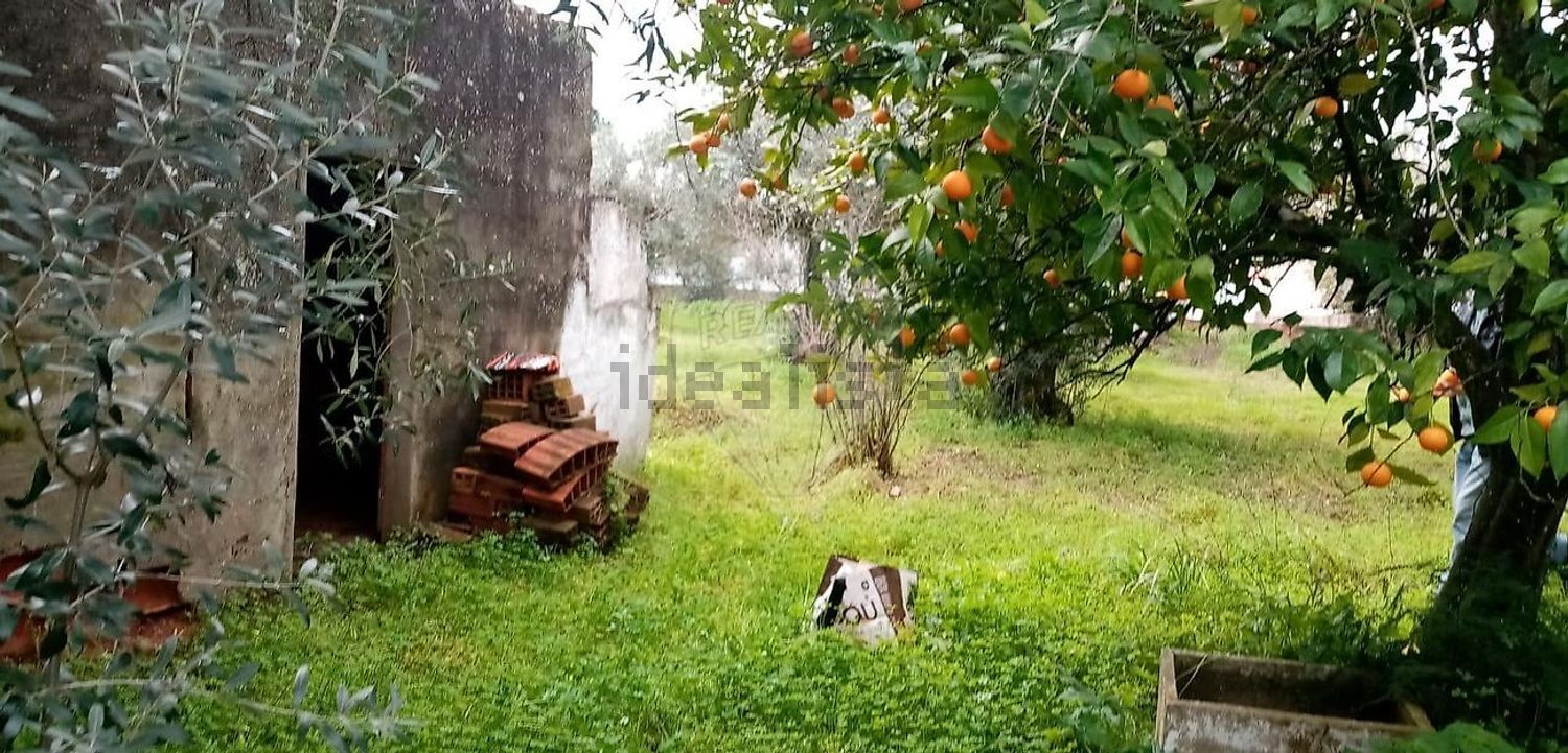 小楼房或独栋别墅出售N118 - 花园
