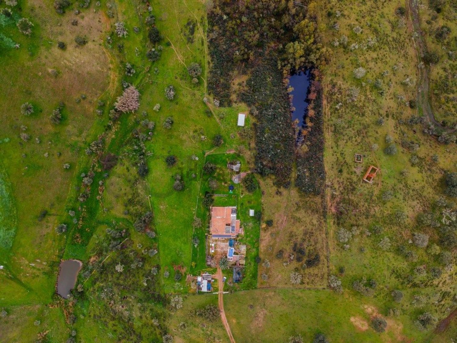 庄园出售在Serpa - 照片