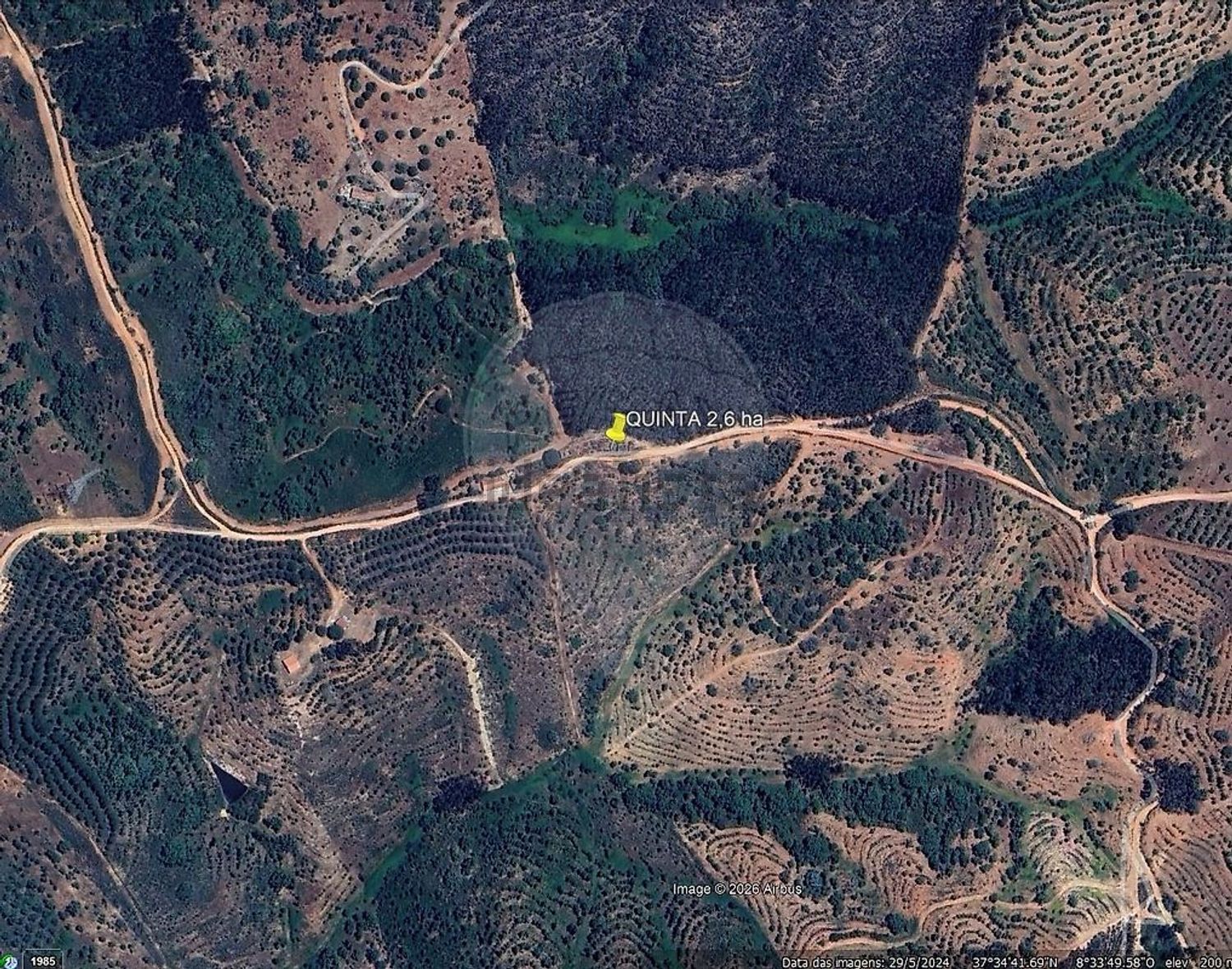 庄园出售在São Salvador e Santa Maria - 照片